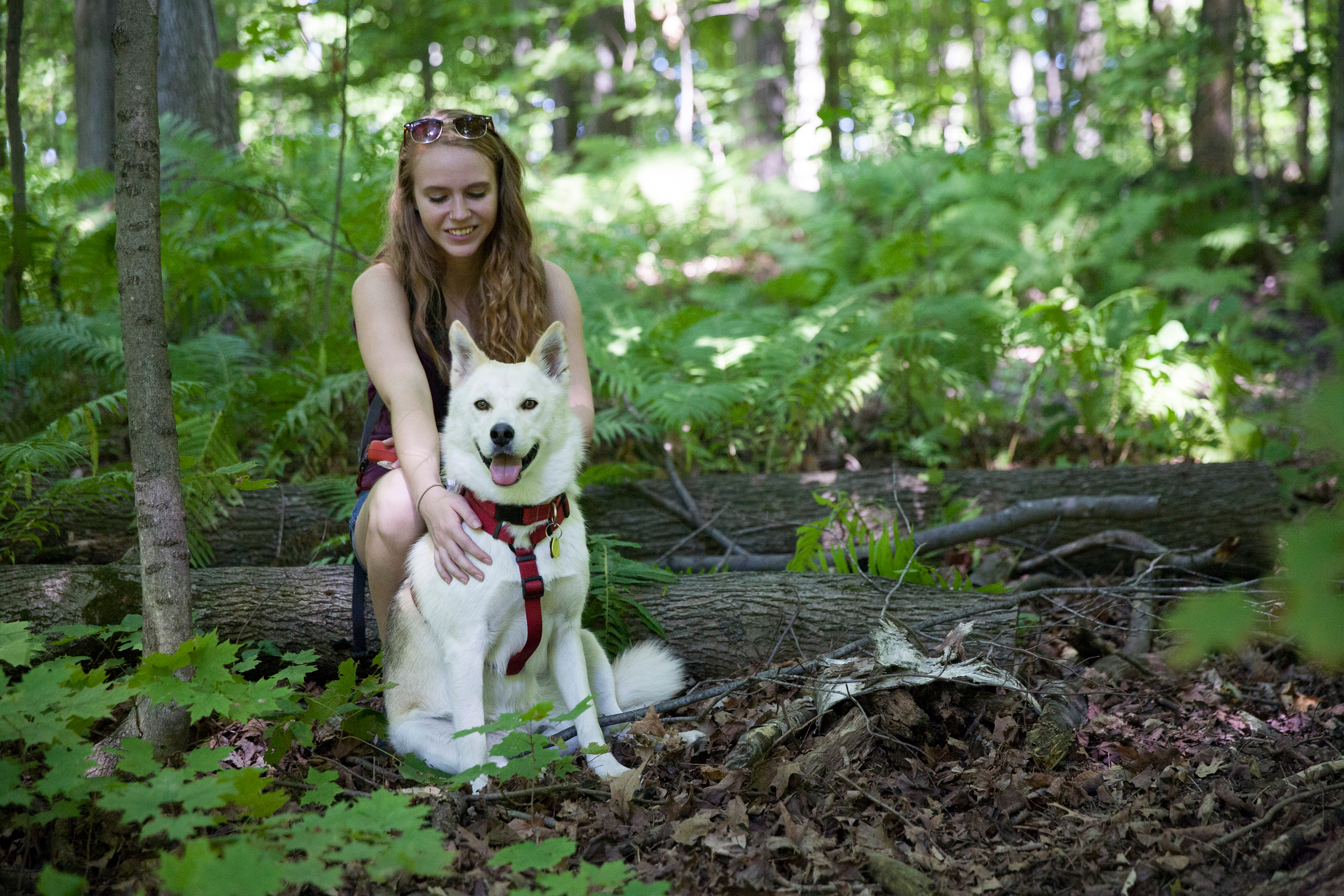 Woman sitting on a log in Dagmar North Trails with her white dog
