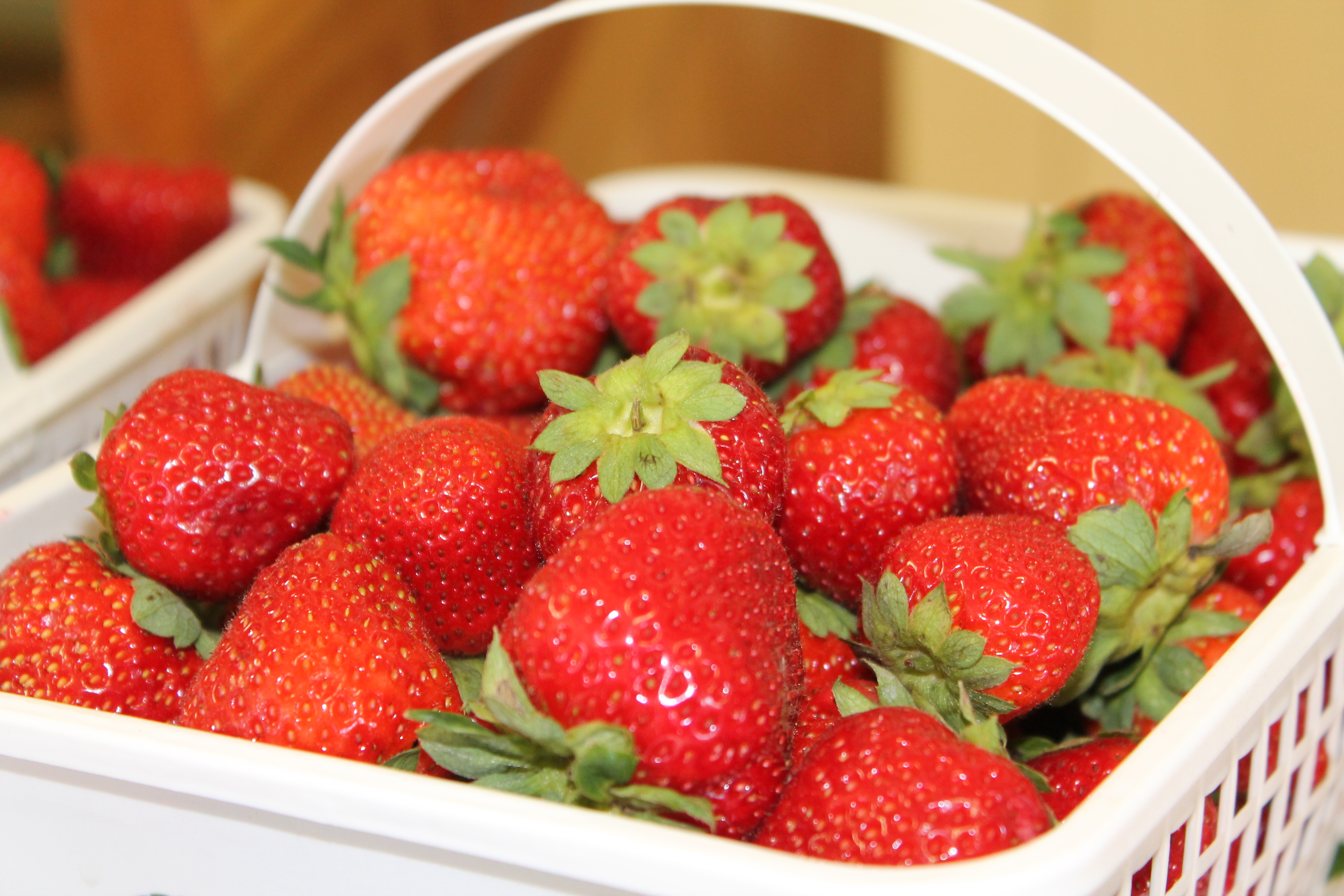 Strawberries in a white Foodland Ontario basket