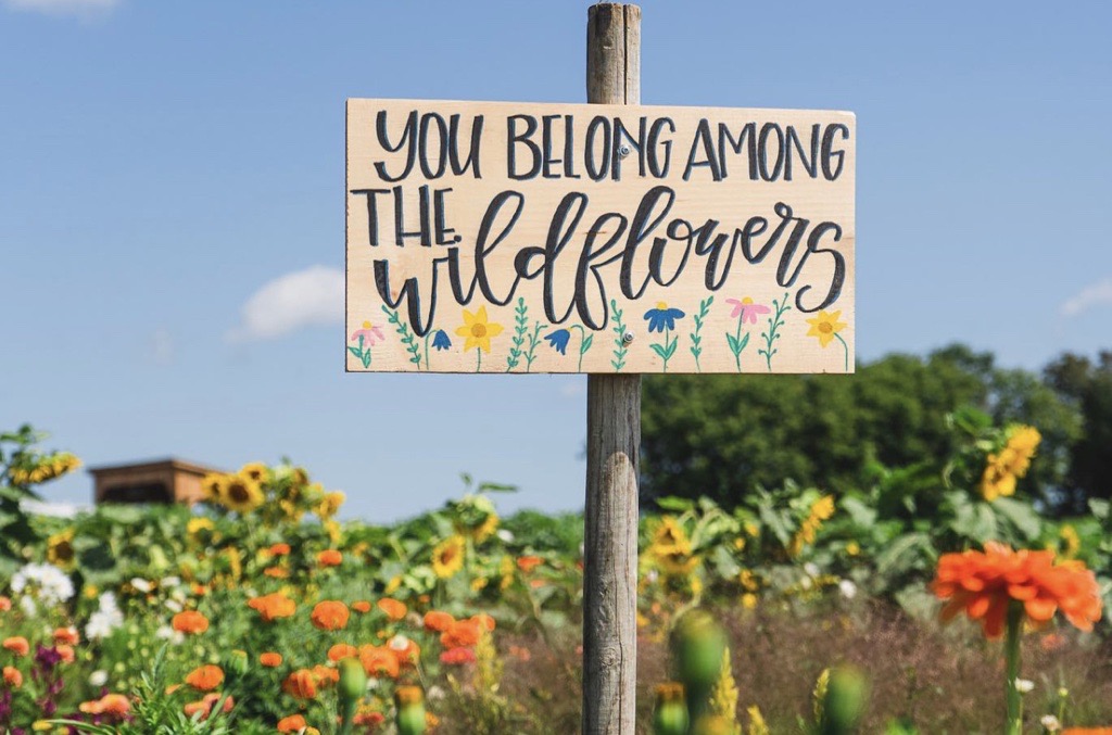Sign that reads You Belong Among the Wildflowers sits on a wooden post in a field of flowers