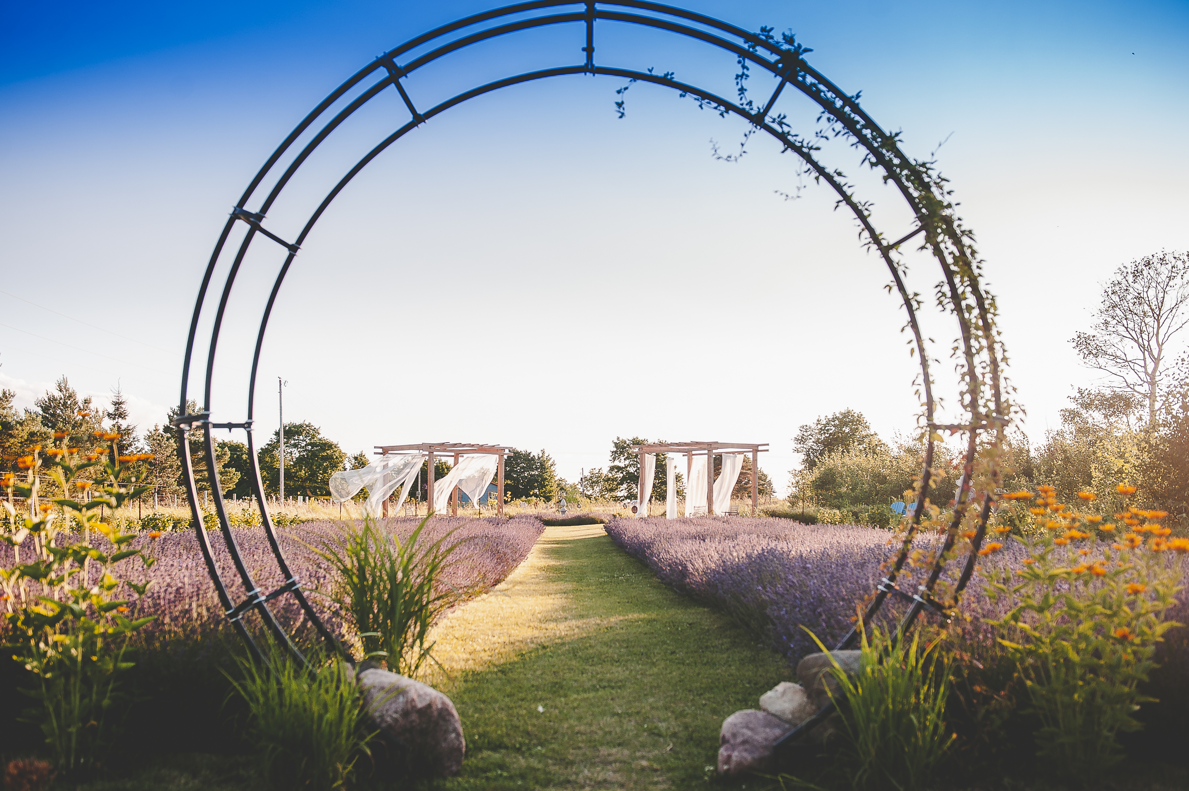 Large circular archway leading into a lavender field