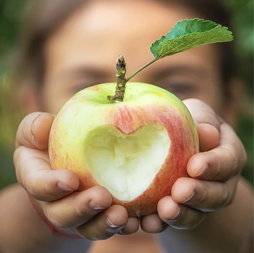 Apple with heart cutout being held in a child's hand
