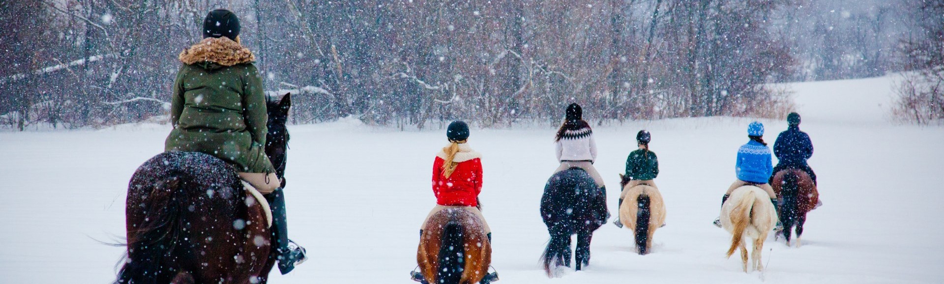Winter Horse Back Riding