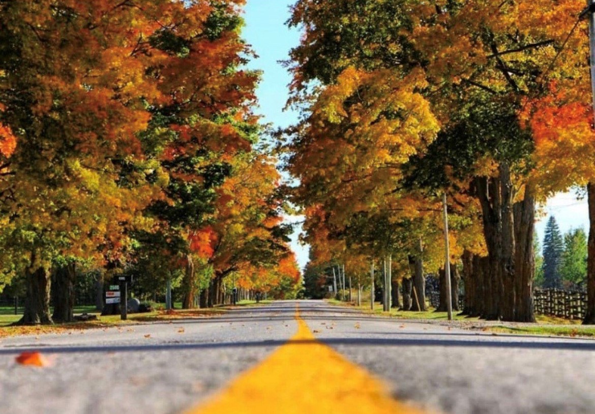 Fall Road in Durham Region