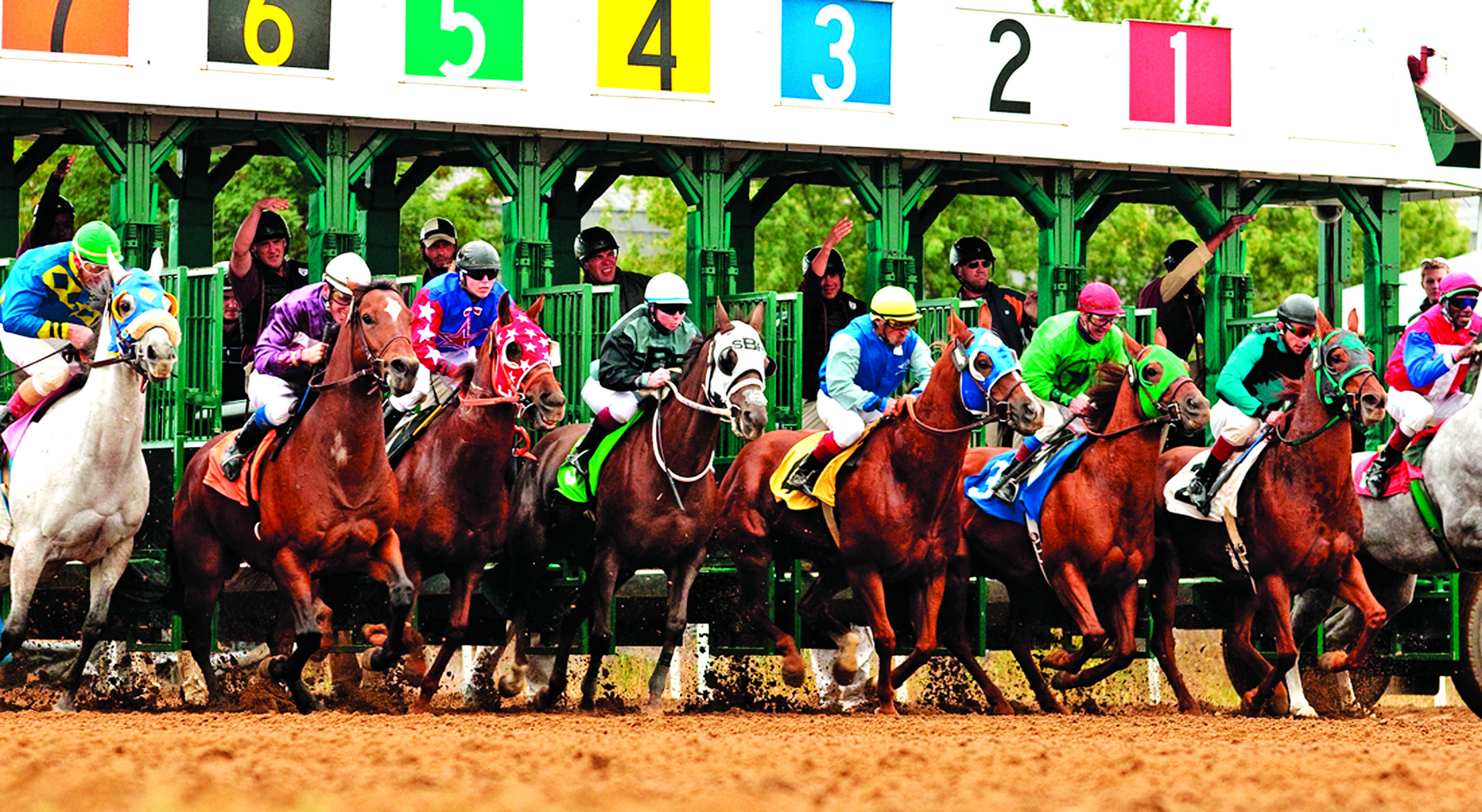 Ajax Downs horse racing