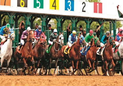 Multiple people on horseback