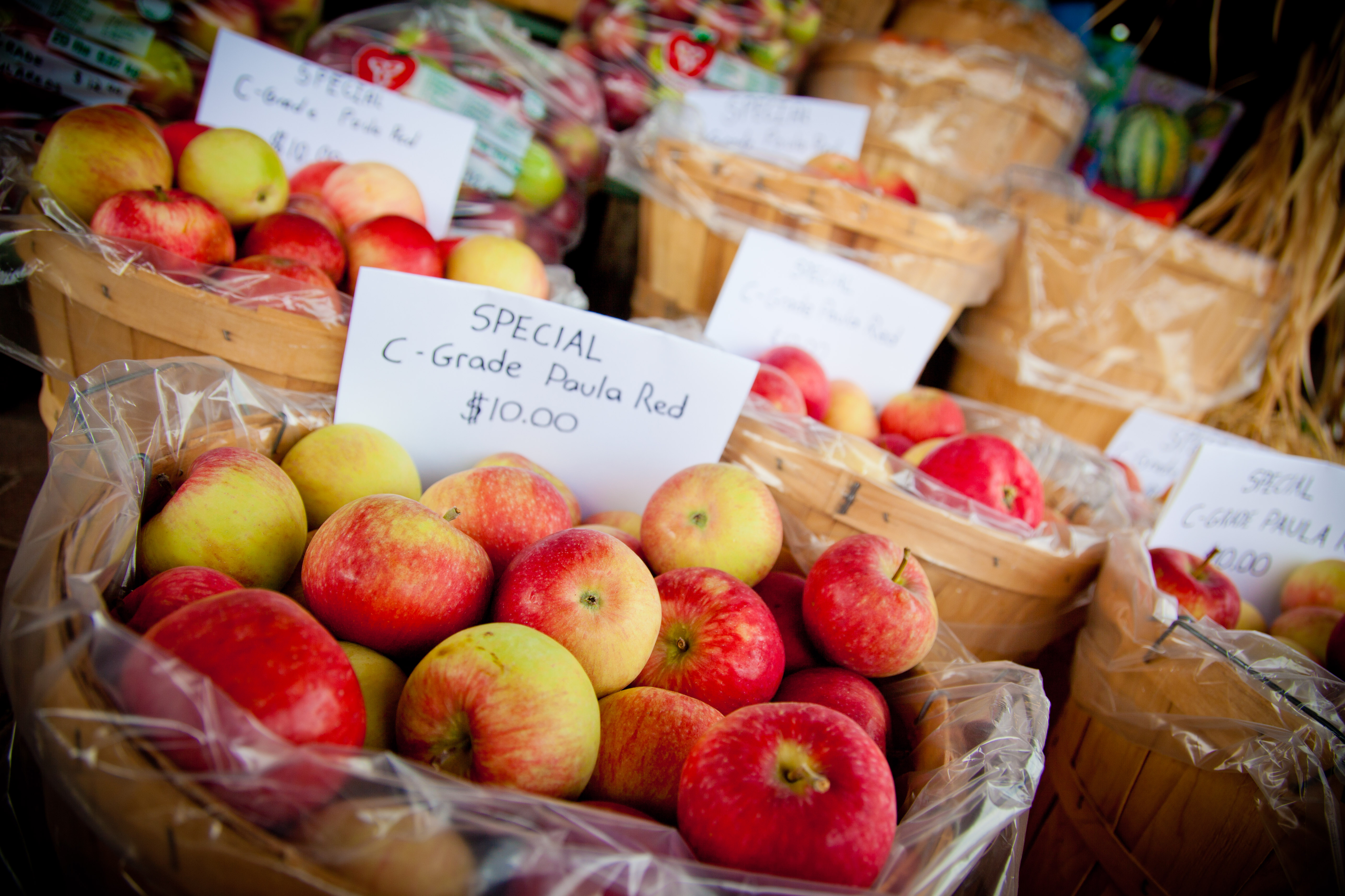 Baskets of apples