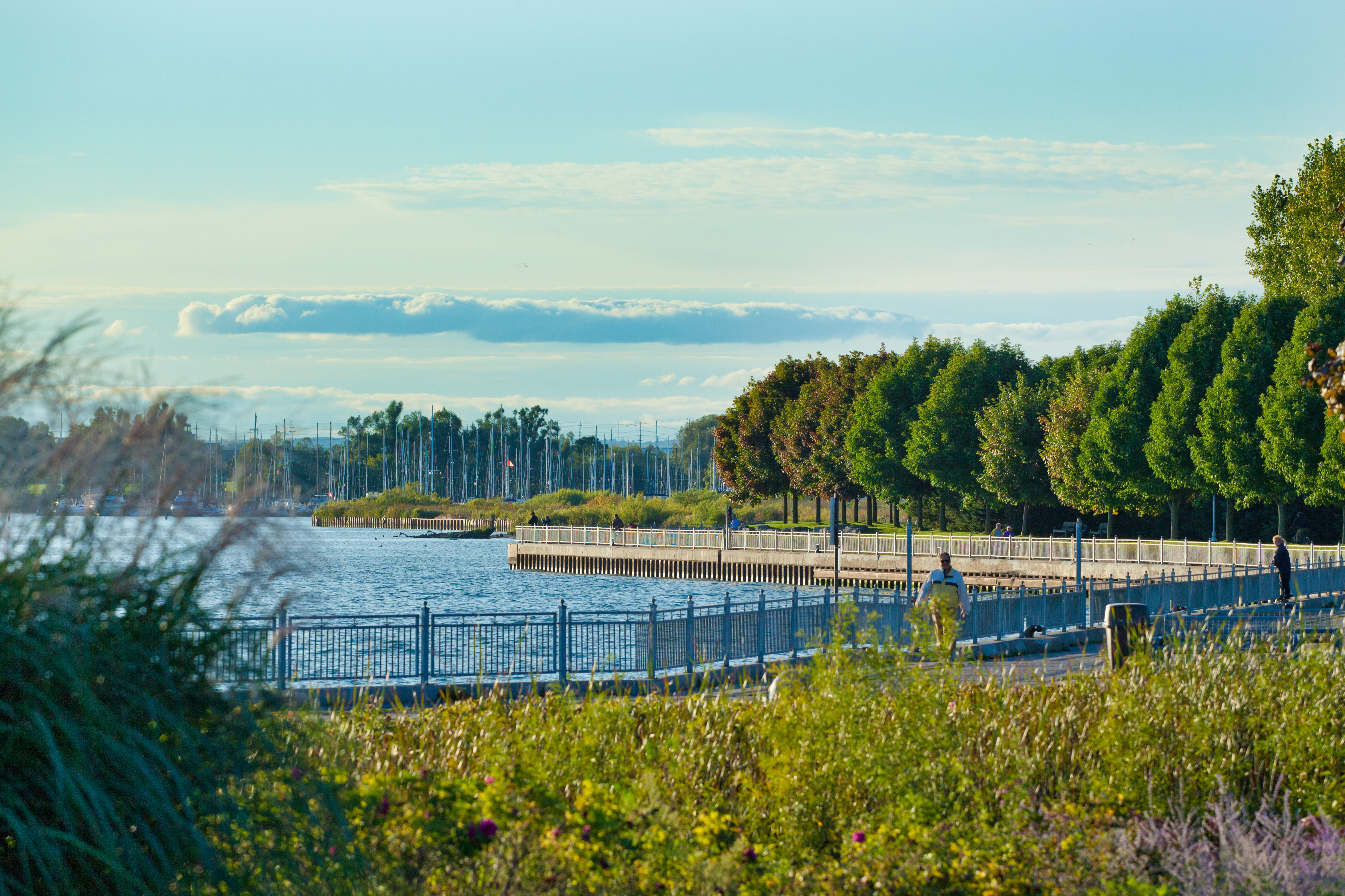 Waterfront Trail