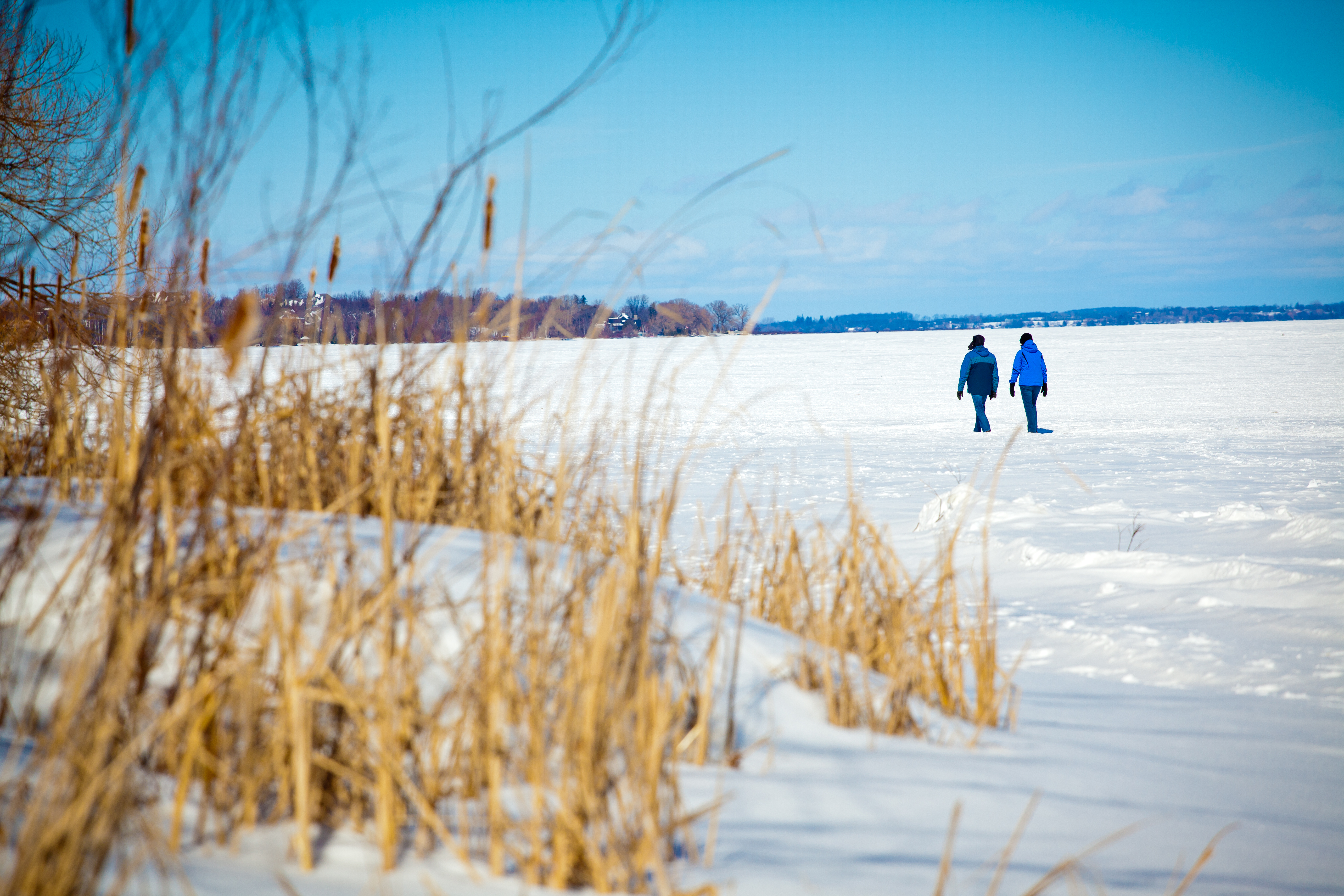 Couple walking on frozen lake in Port Perry