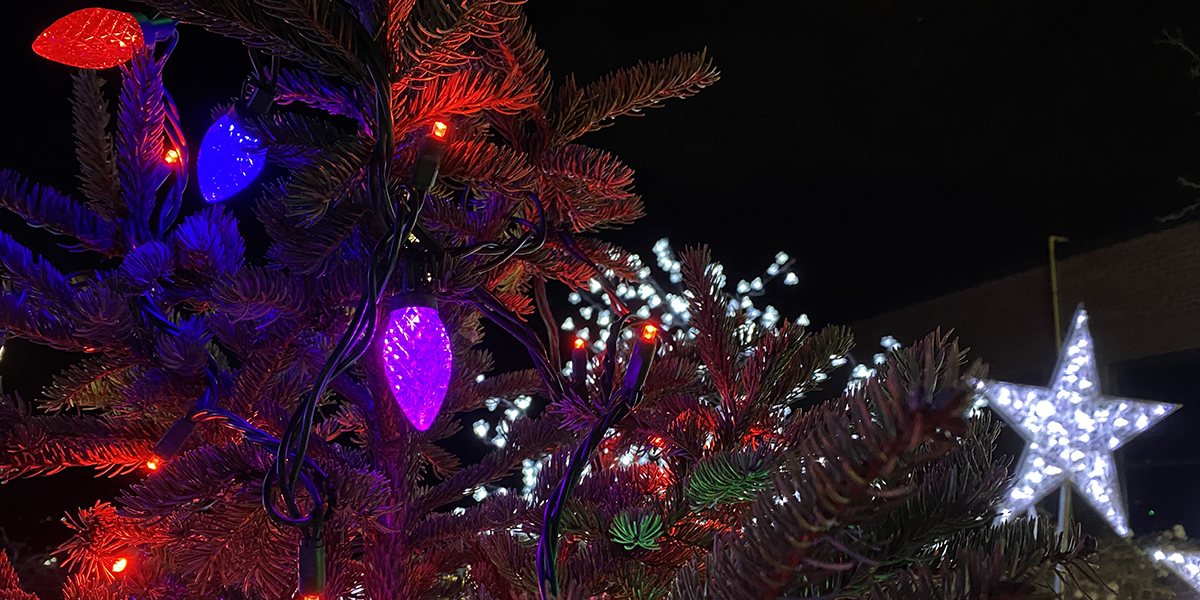 Close up of holiday tree lights