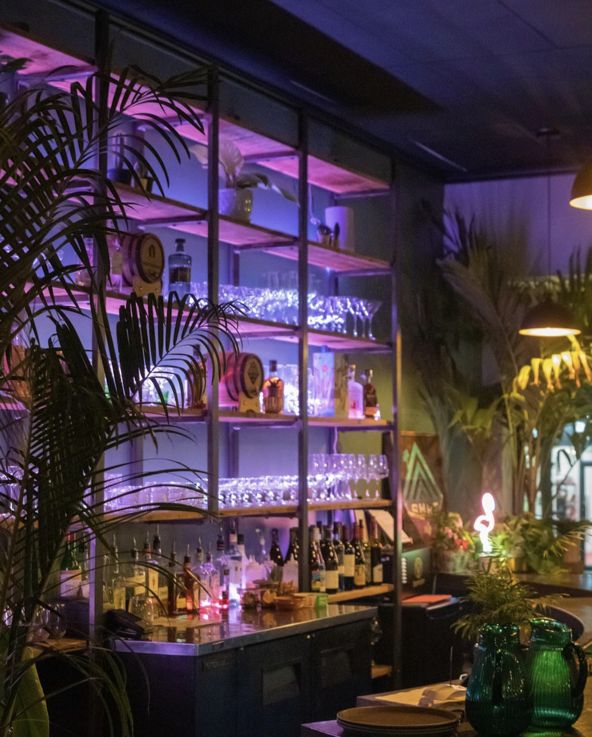 Surf Kitchen bar area with pink and purple lighting and palm tree decor