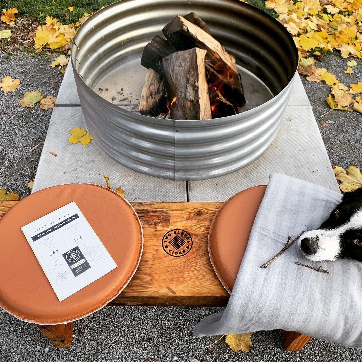 Fire pit and bench with black and white dog at Two Blokes Cider