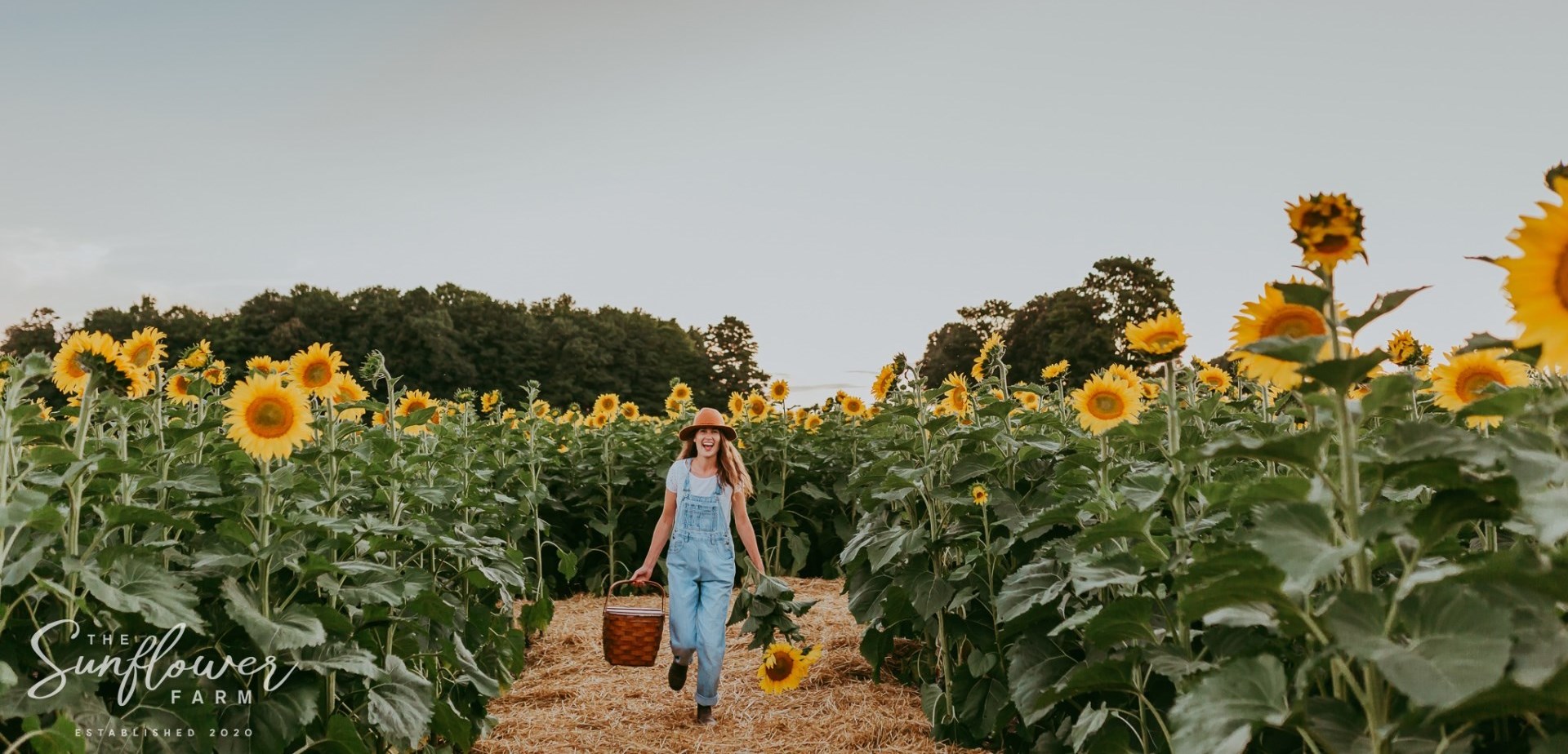 Summer in Durham Region