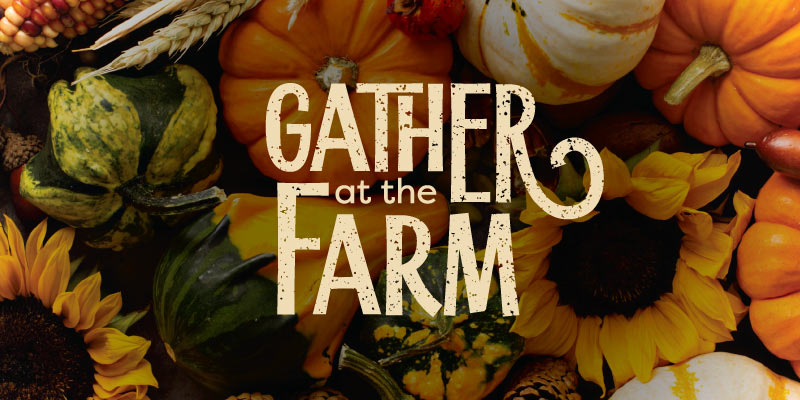 Text reading, "Gather at the Farm", overtop a photo of sunflowers, pumpkins, gourds, and other fall items.