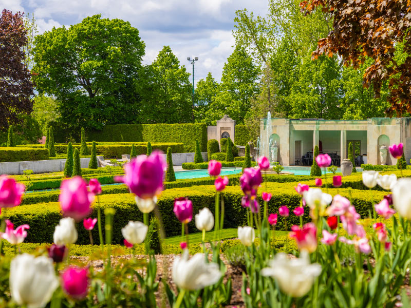 Tulips and fountain at Parkwood National Historic Site.
