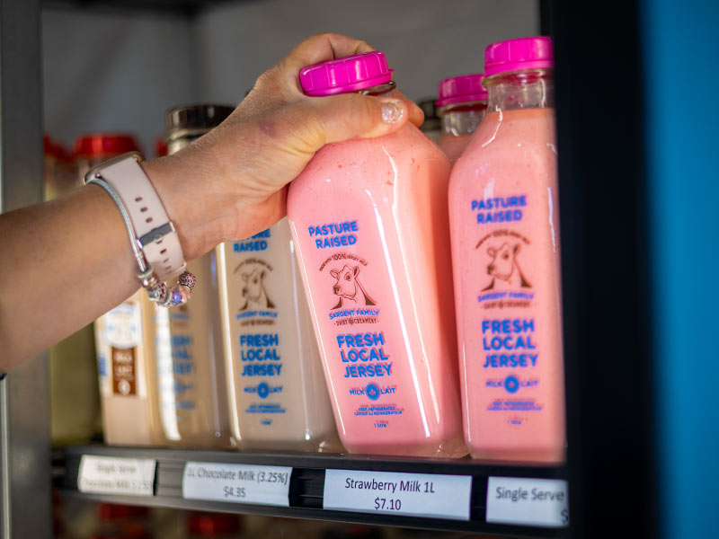 Grabbing a bottle of local strawberry milk from a fridge.