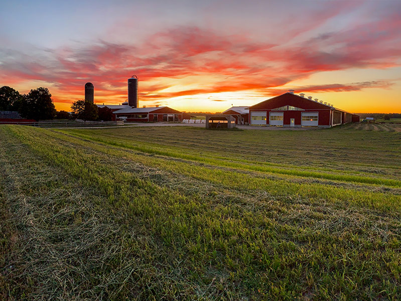 Barns with a sunset.