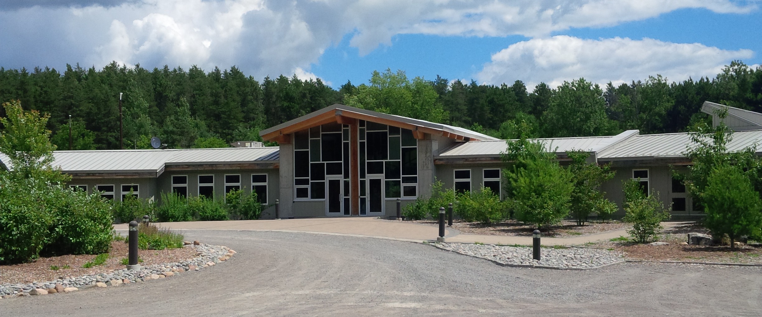 Building with many windows surrounded by trees