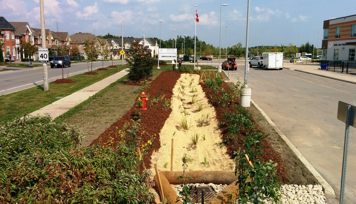 Bioswale used for stormwater absorption