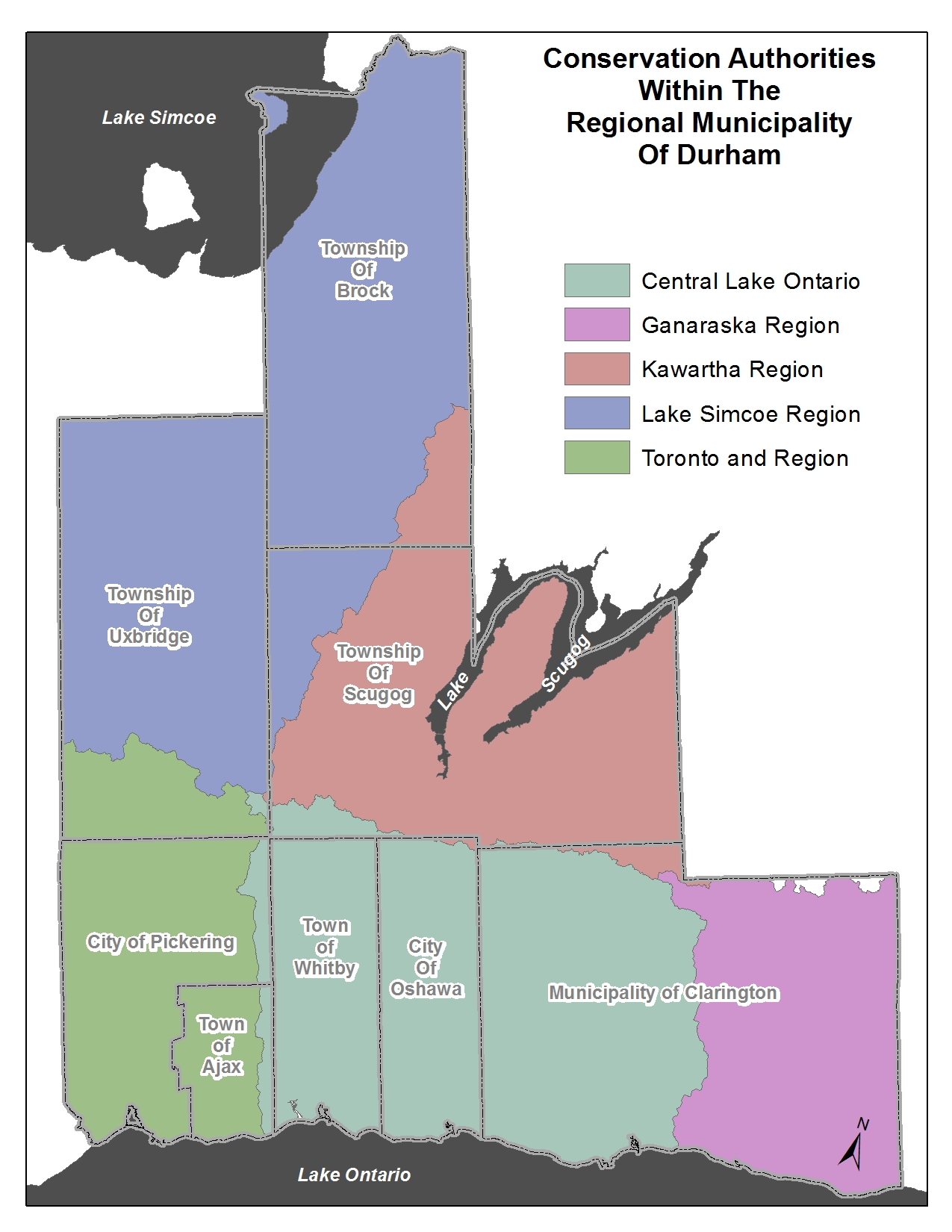 Map of the five conservation authorities in Durham Region. Uxbridge: Lake Simcoe and Toronto and Region. Township of Brock: Lake Simcoe and Kawartha Region. Township of Scugog:Lake Simcoe and Kawartha Region.  City of Pickering: Toronto and Region, Central Lake Ontario. Town of Ajax: Toronto and Region, Central Lake. Town of Whitby: Central Lake. City of Oshawa: Central Lake. Municipality of Clarington: Central Lake and Ganaraska.