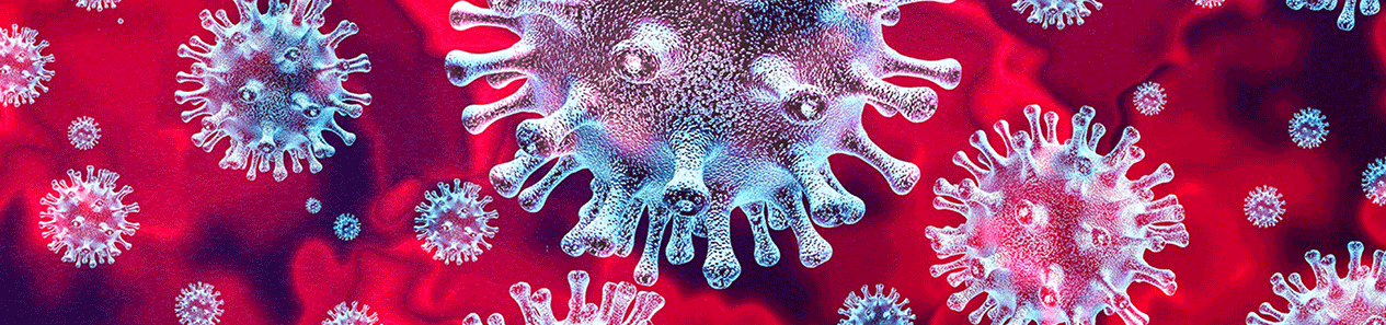 Coronavirus cell.