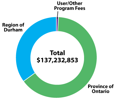 Pie chart showing Health Department revenues by source.