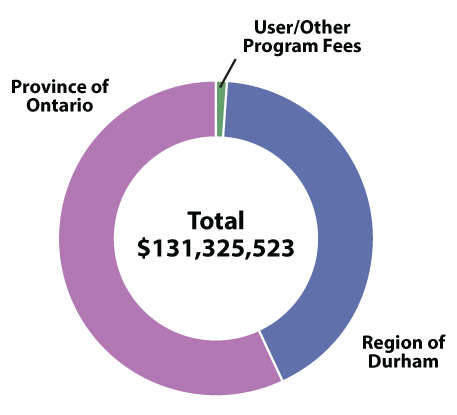 Pie chart showing Health Department revenues by source.