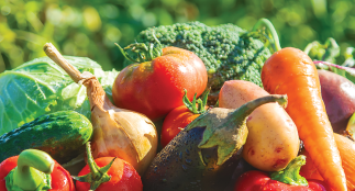 Harvest Garden