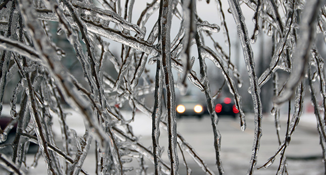 Picture of ice storm event