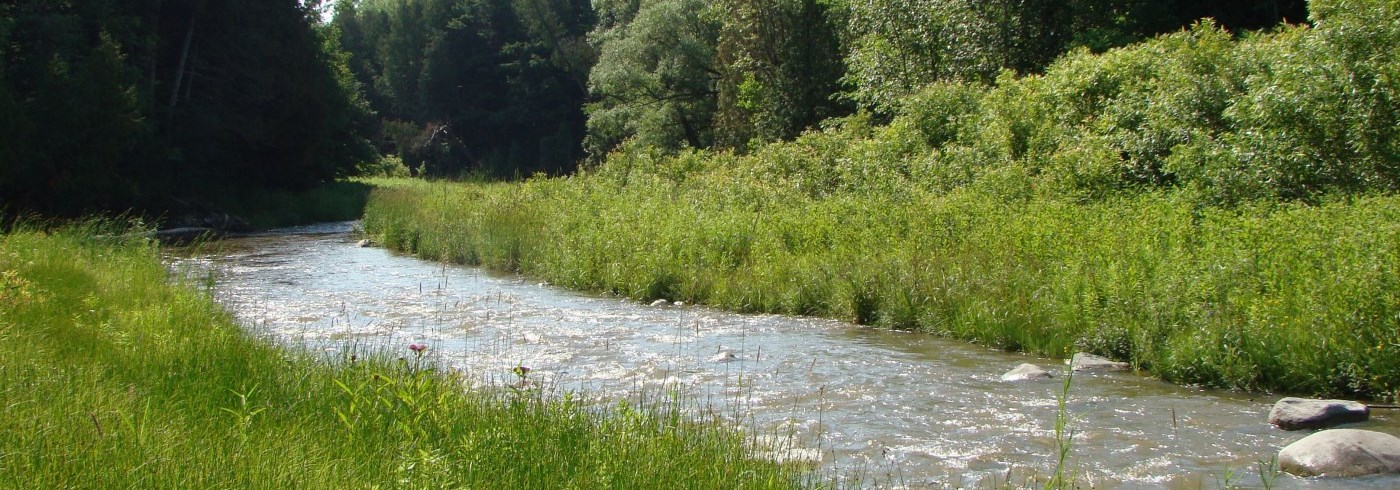 Bowmanville Creek 