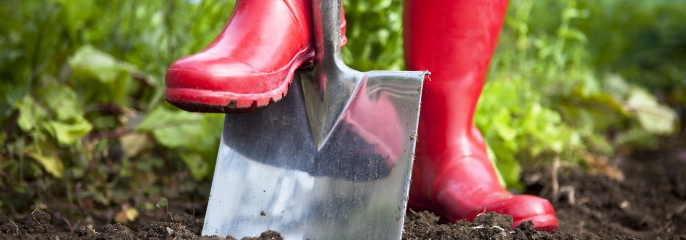 Red rubber boots pushing shovel into ground