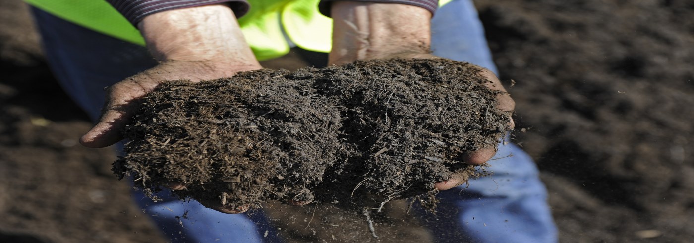 Work standing with compost in hands