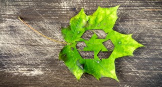 Leaf with recycling symbol inside
