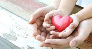 Hands holding heart