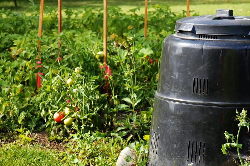 Backyard composter in a garden