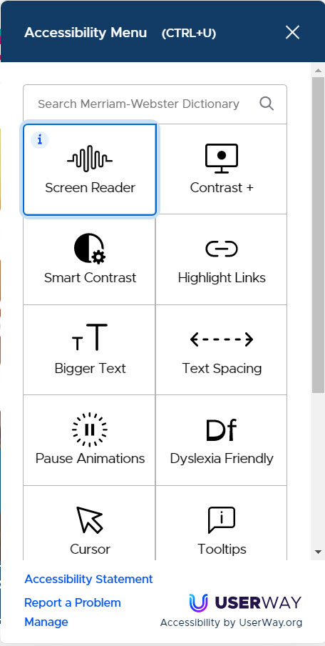 Accessibility Widget menu with Screen Reader selected