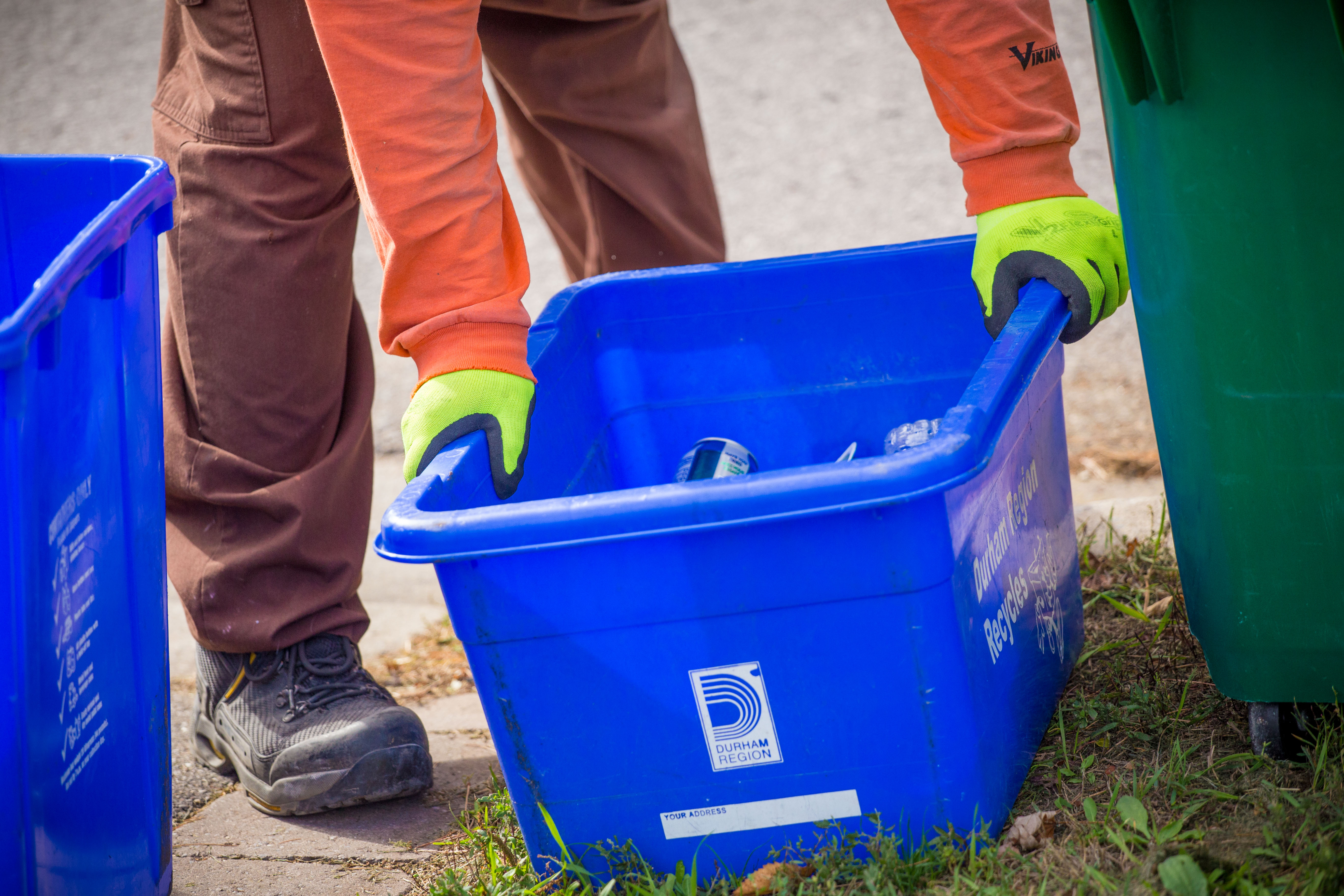 Waste collector picking up curbside Durham Region blue box