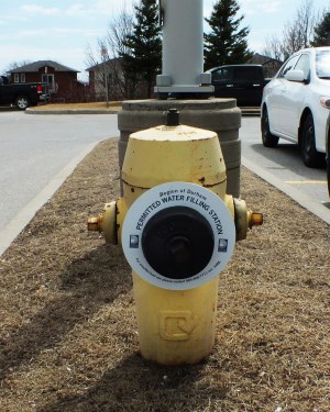 Hydrant with ring