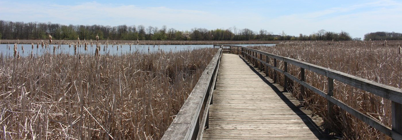 Long walkway over marsh