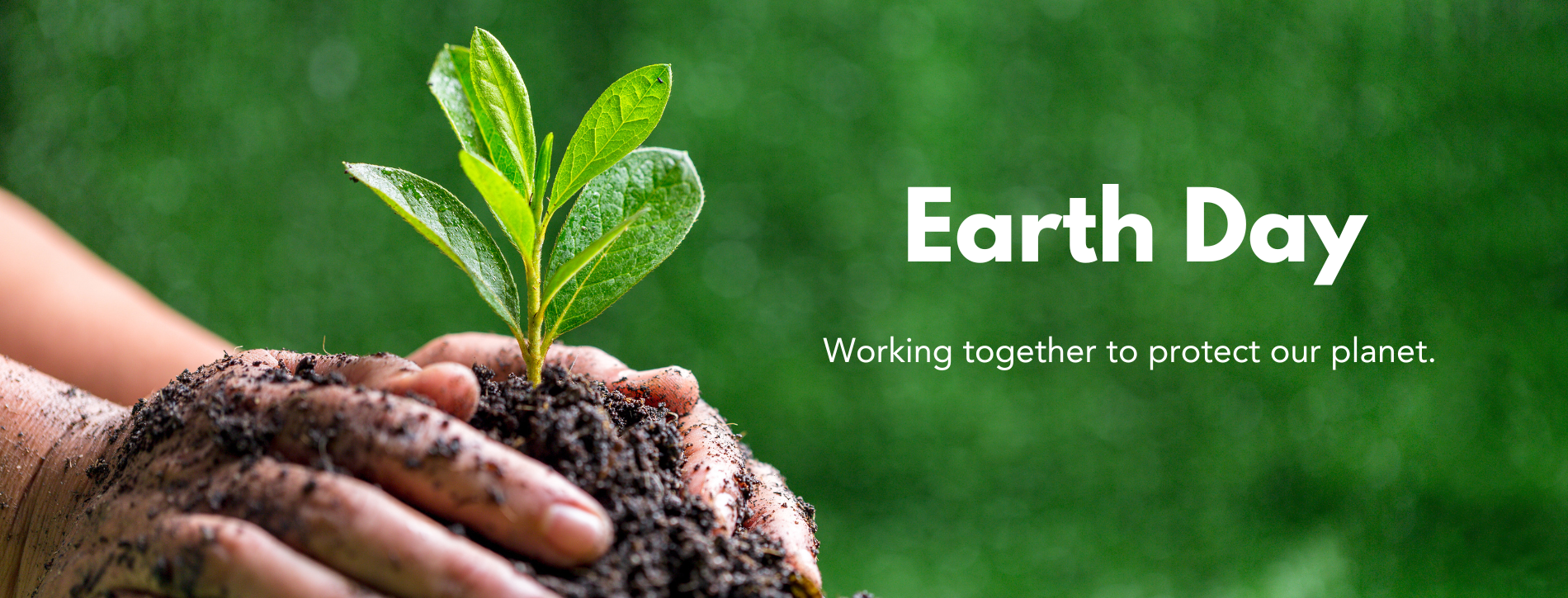 Image shows a person’s hands putting soil around a small plant. Text states, “Earth Day. Working together to protect our planet”.