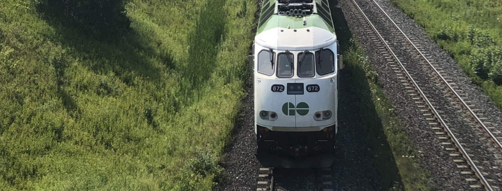 A GO train is traveling along a railway track surrounded by green space. 