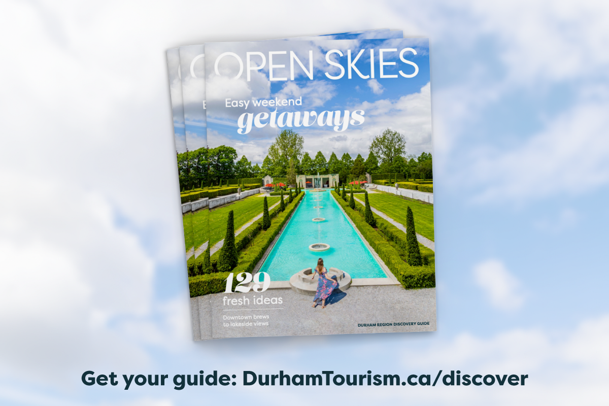 A pile of cascading Open Skies guides.