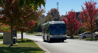 A DRT bus driving on a quiet street in the fall.