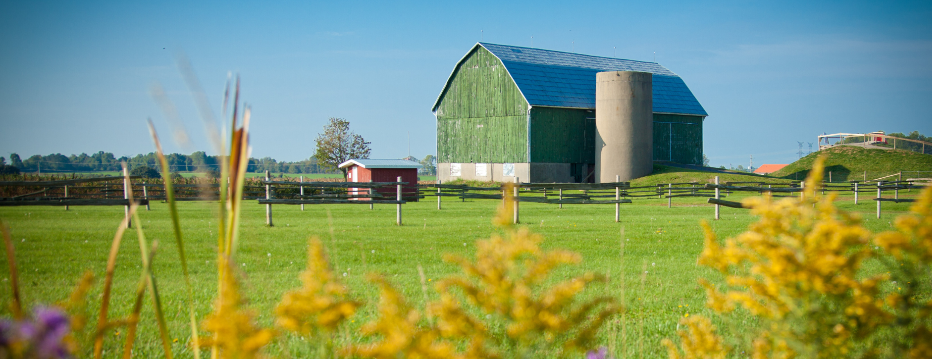 Landscape of a farm field, silo and barn.