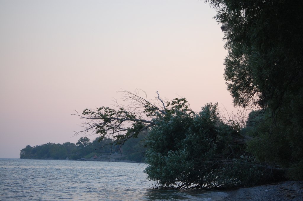A picture of the Lake Ontario shore at the Lynde Shores conversation area