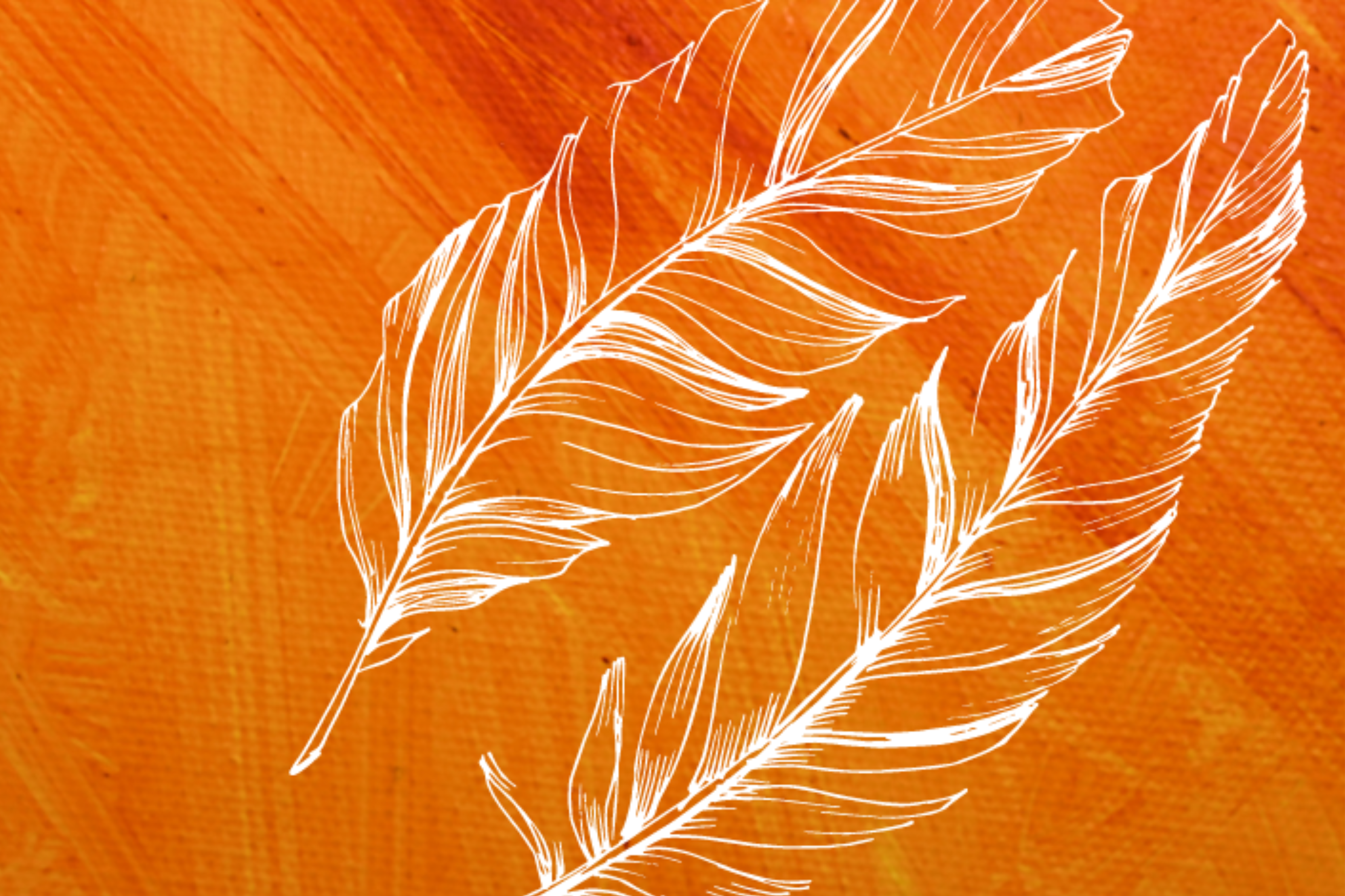 Two feathers on an orange background.