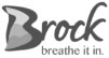 Township of Brock logo