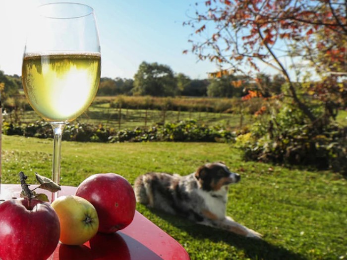 A wine glass full of cider next to a Banjo Cider bottle on an outdoor patio overlooking a field.