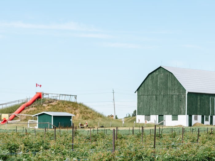 A wide shot of the Watson Farms barn and fields