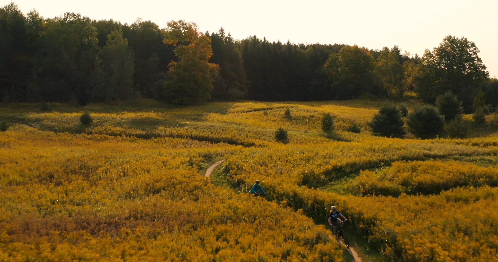 Two cyclists riding in Countryside Preserve in Uxbridge. They are on a trail in a large golden field and are riding towards tall trees in a forest. 