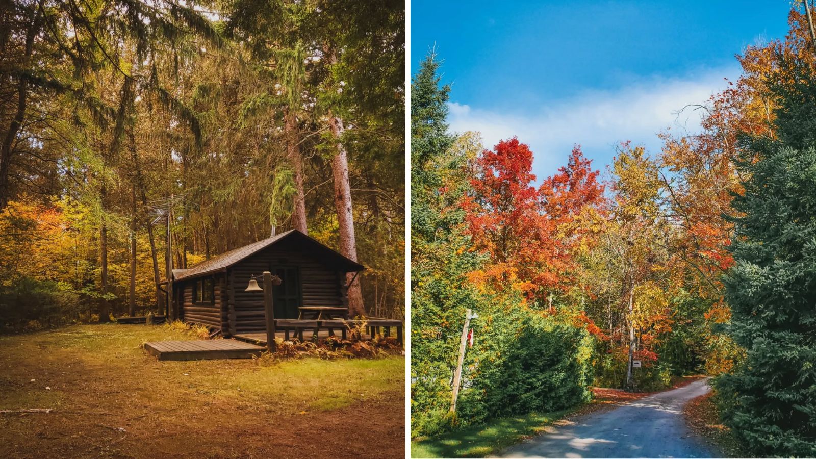 Cedar Valley Resort & Camping in Orono, Ontario Collage of cabin and trail at Cedar Valley Resort & Camping in Orono, Ontario